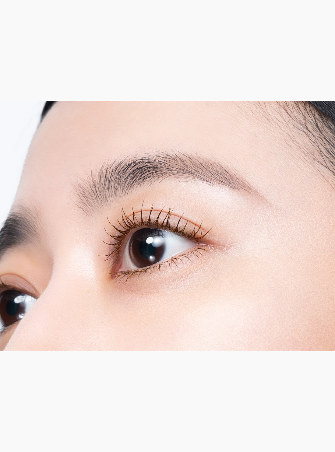 MOTEMASCARA ALL IMPACT / BrownBlack（マスカラ）