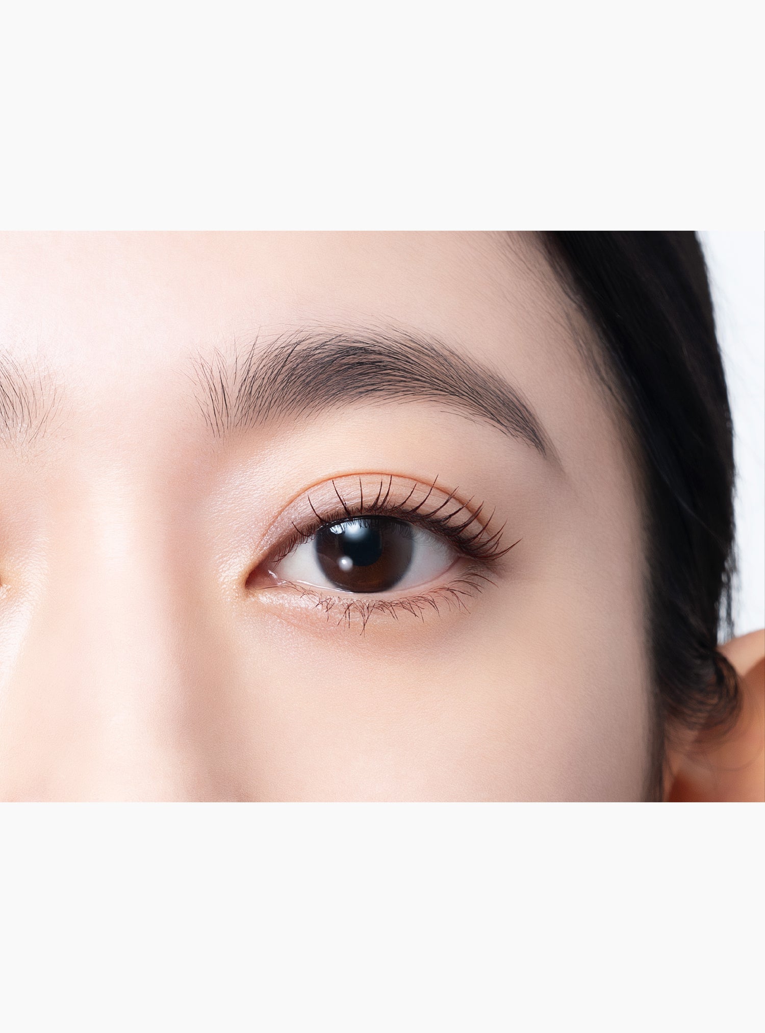 MOTEMASCARA ALL IMPACT / BrownBlack（マスカラ）
